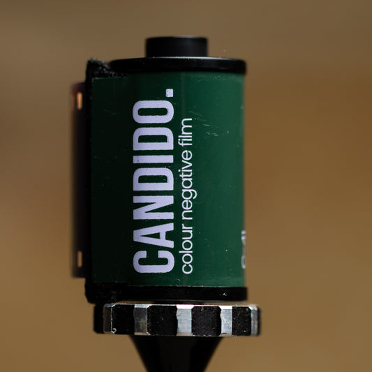 Candido 400