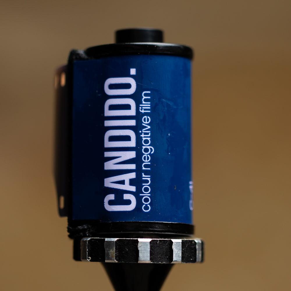 Candido 800