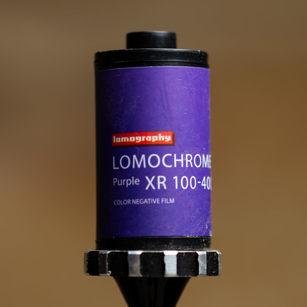 LomoChrome Purple Pétillant