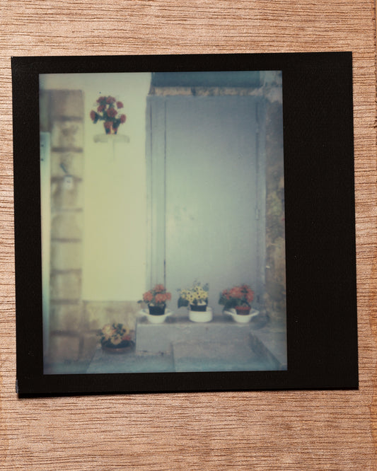 Door with flowers, Valletta. 2015