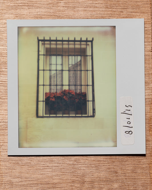 Window, Valletta. 2015